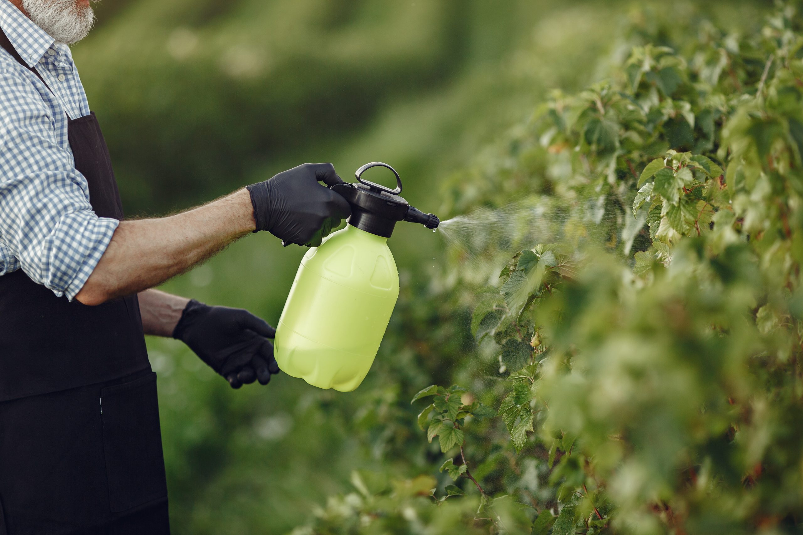 How to Choose the Right Fertilizer for Different Crops (A Complete Farmer’s Guide)