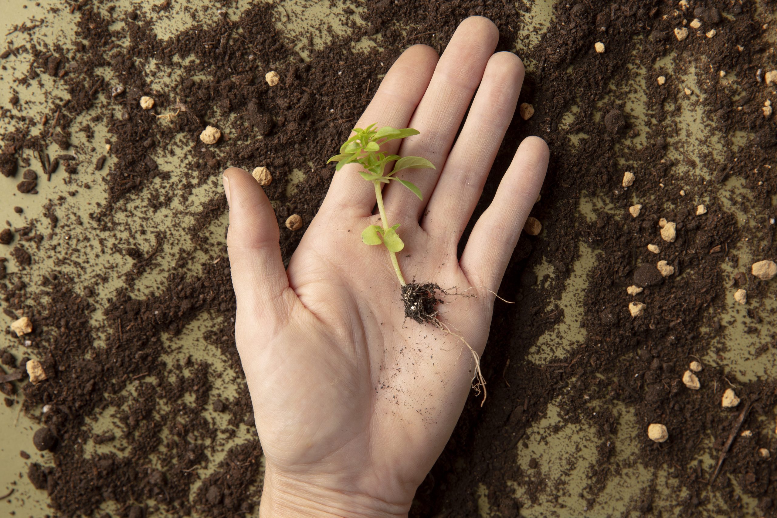 Sustainable Farming Practices for Small and Medium Farms: A Practical Guide for Long-Term Success
