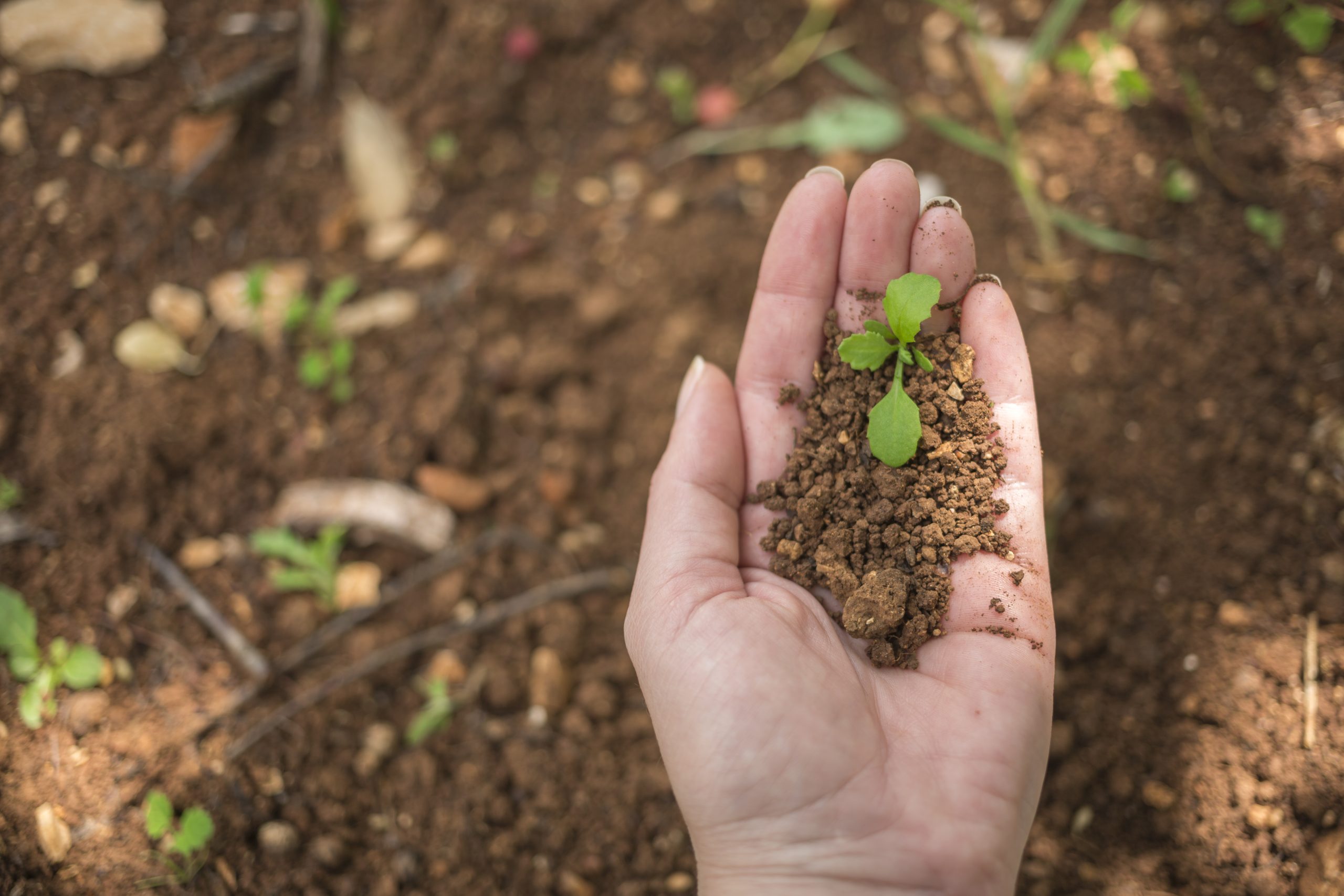 How Farmers Can Reduce Chemical Dependency Naturally