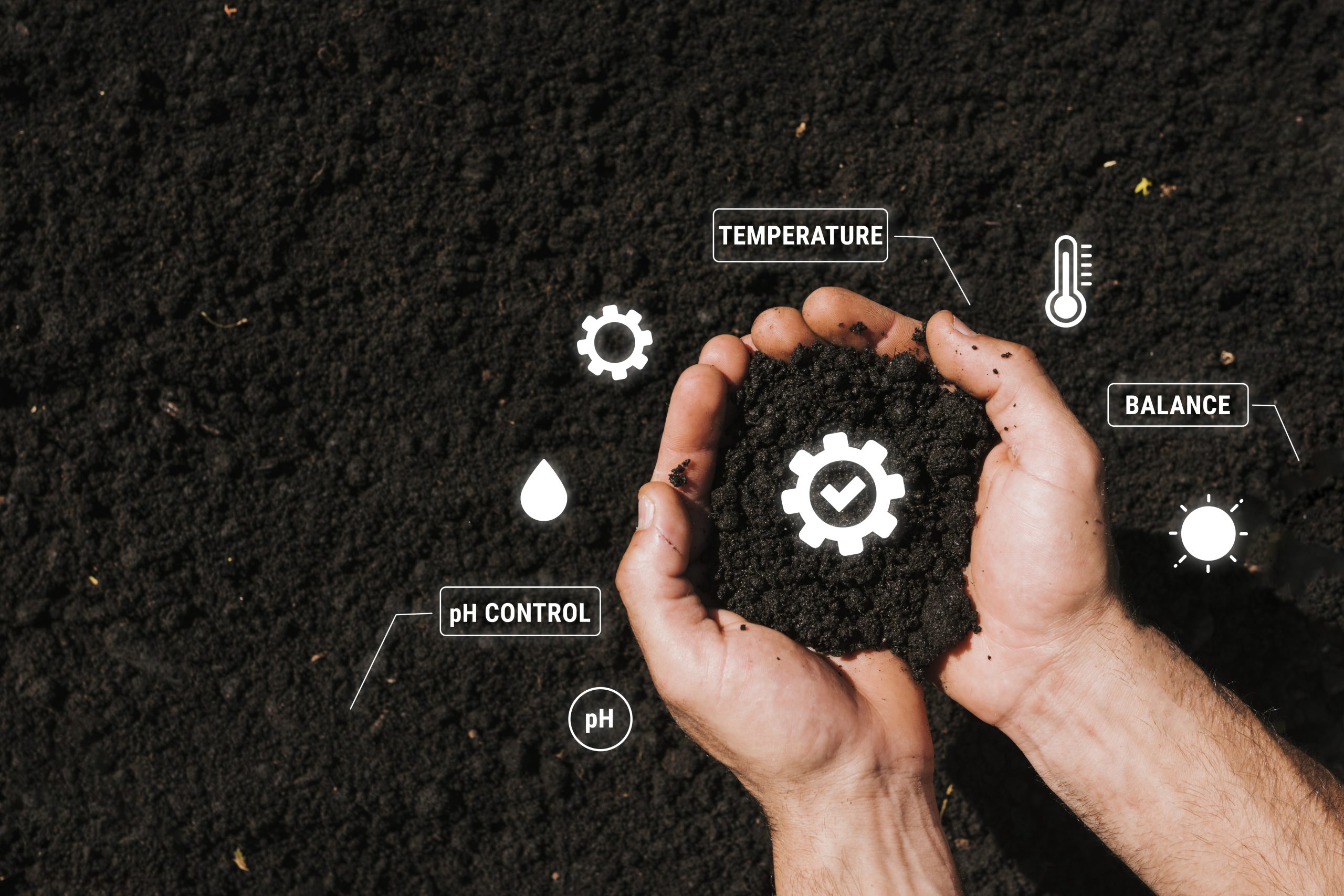 Role of Organic Matter in Long-Term Soil Fertility