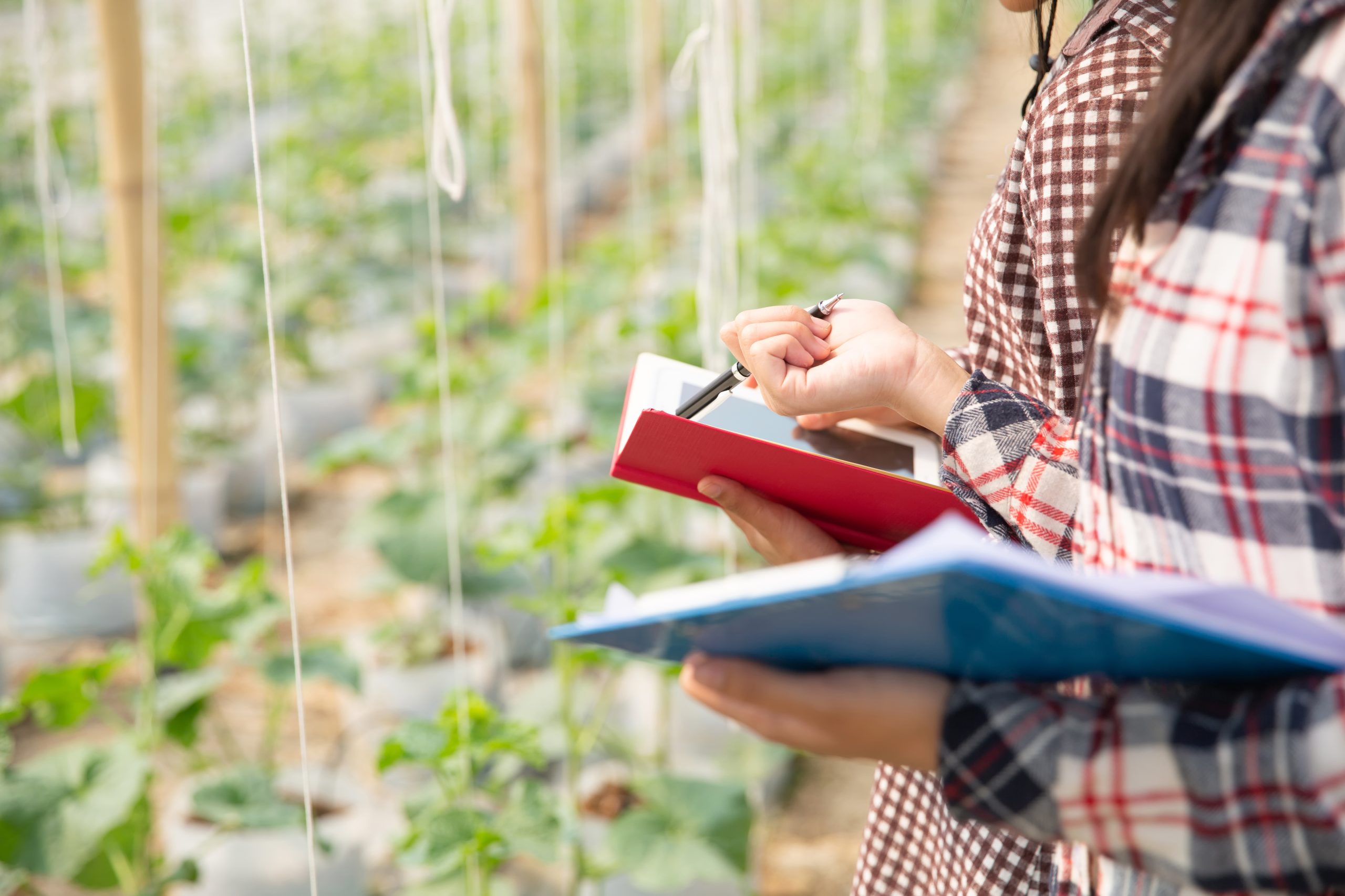 Crop-Specific Nutrient Management Plans for Higher Yields
