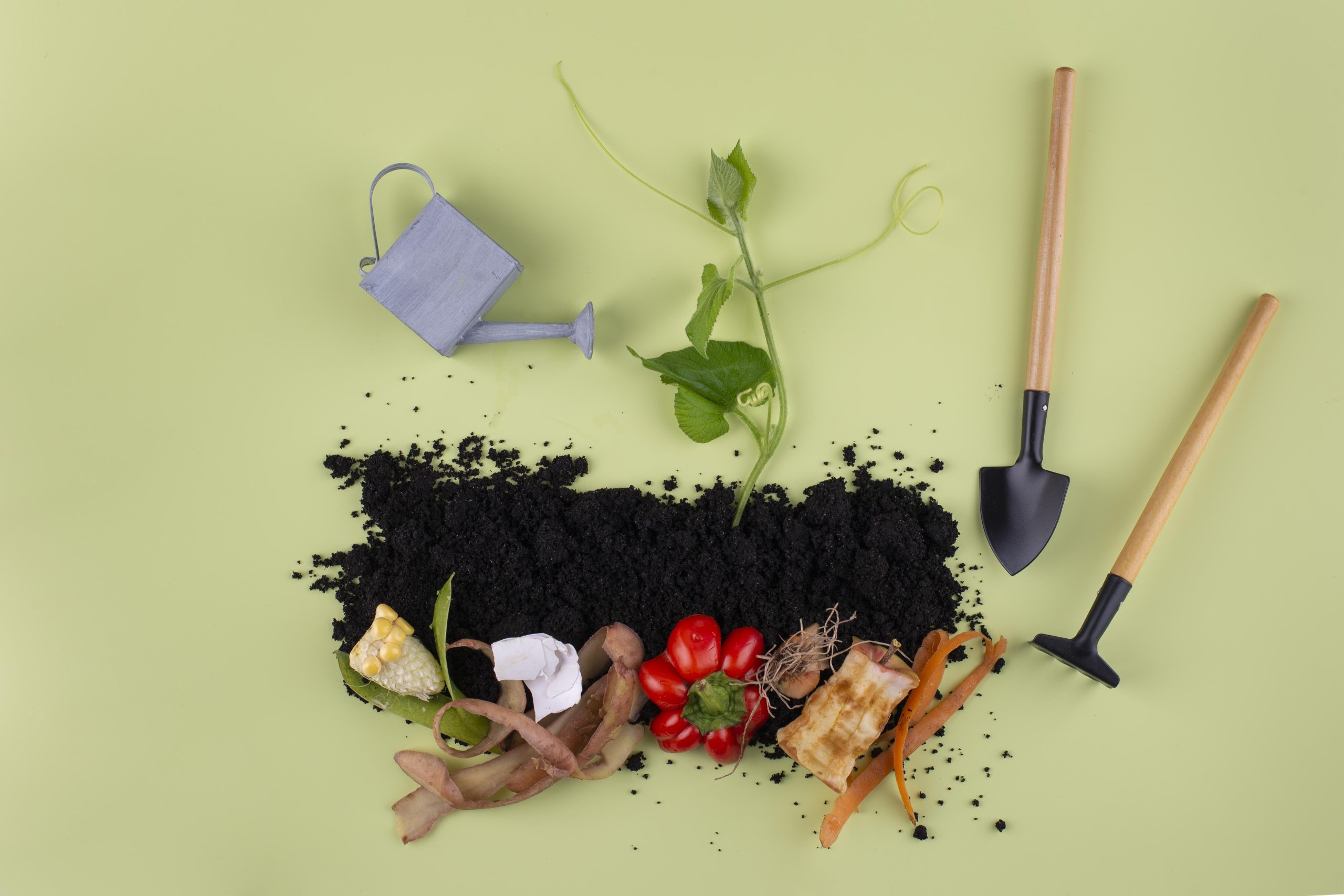 Boost Your UAE Farms with Biofertilizers and Compost for Efficient Nutrient Recycling