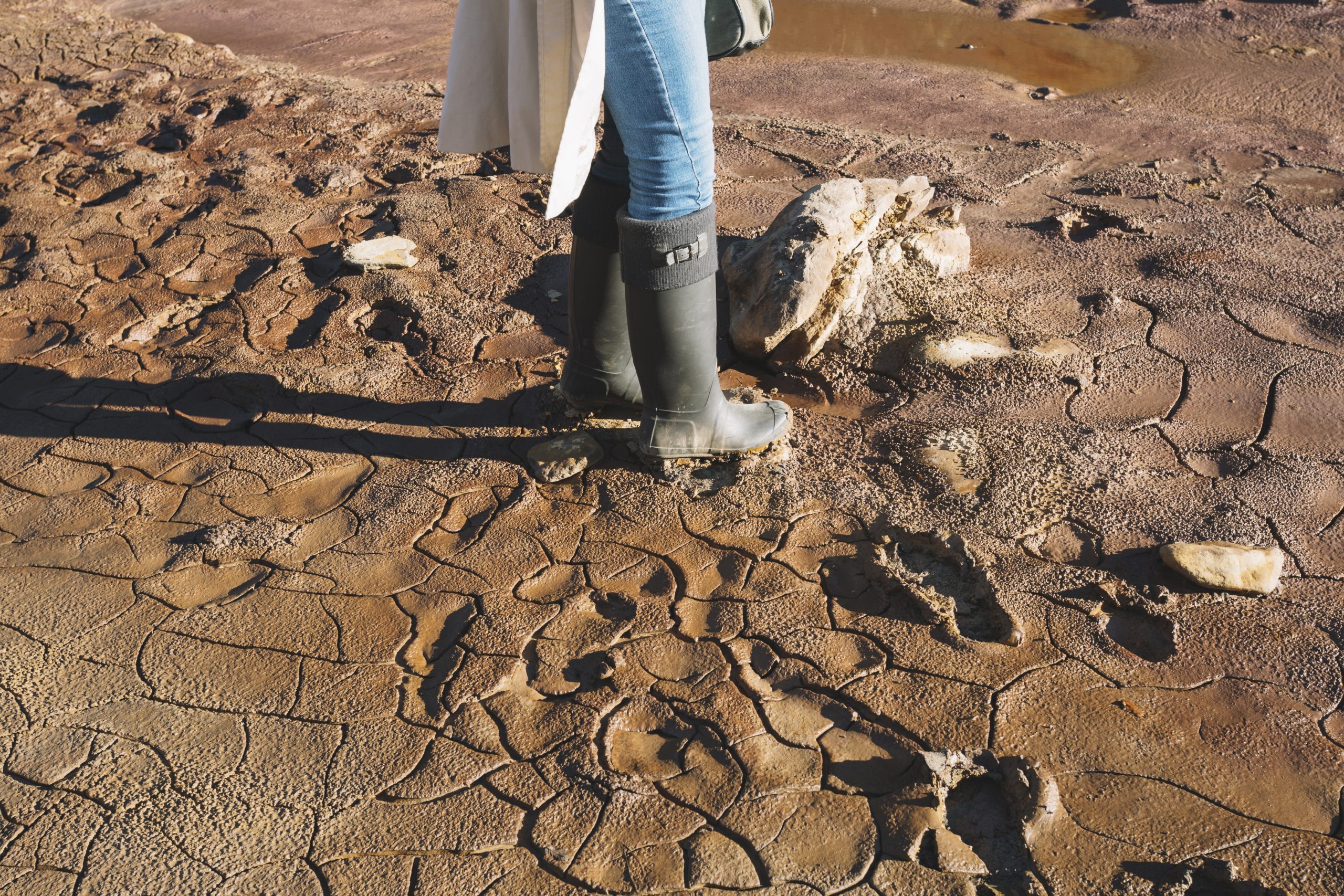 Soil Amendments for Desert Farming: The Ultimate Guide to Thriving Crops in Arid Climates