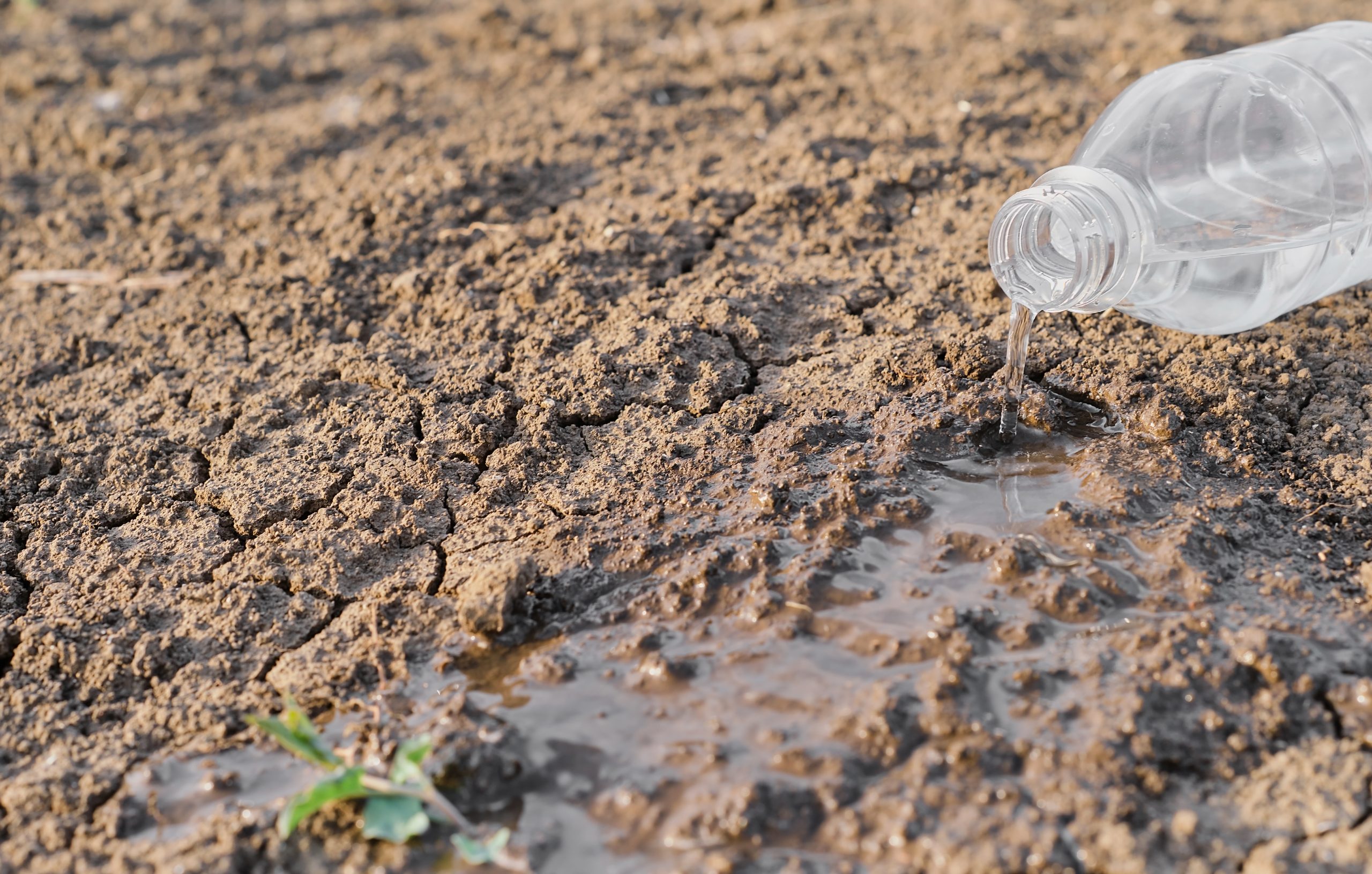 How Excess Fertilizer Affects Soil and Groundwater