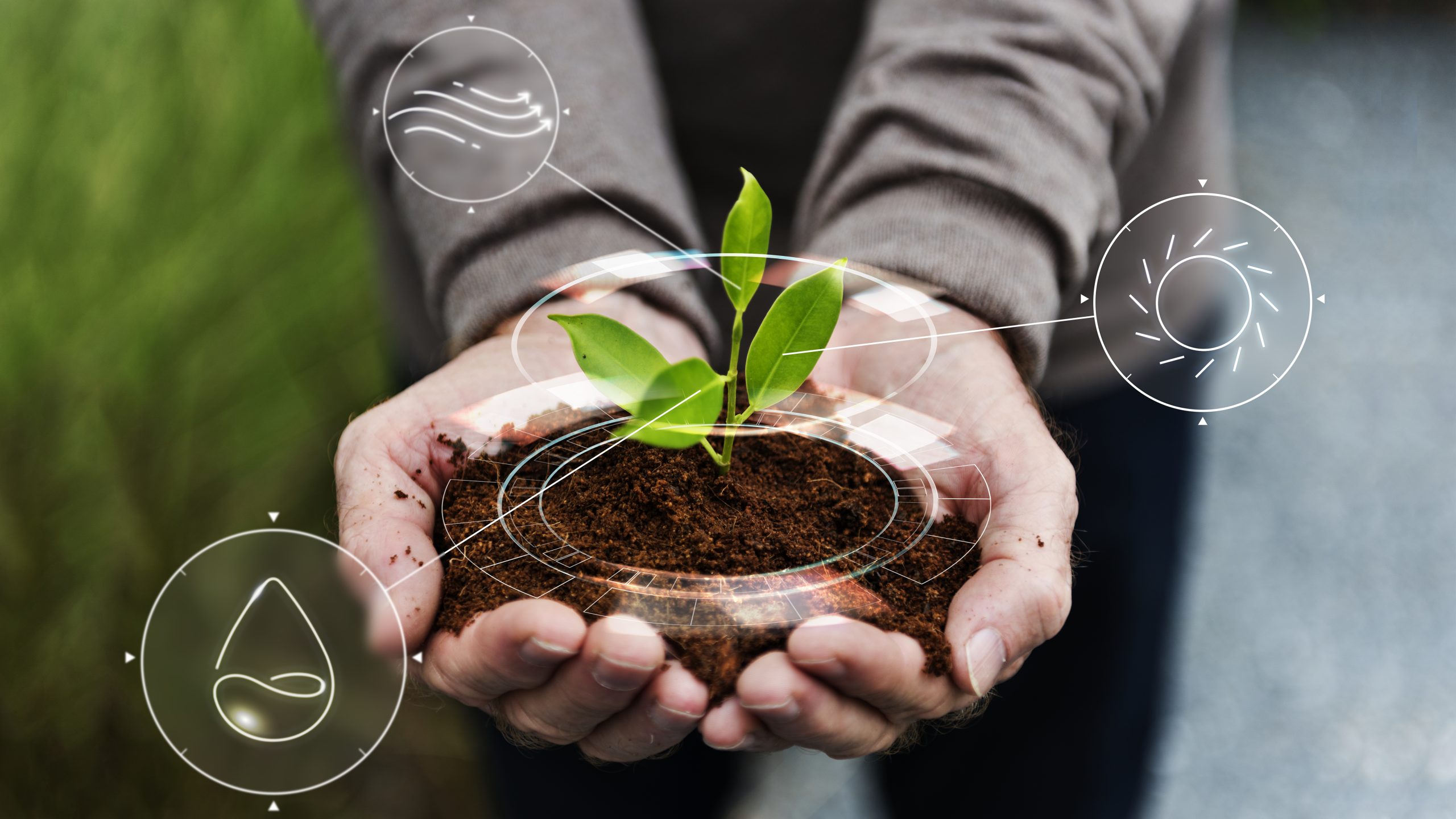 Sustainable and Regenerative Agriculture: A Complete Guide to Future Farming