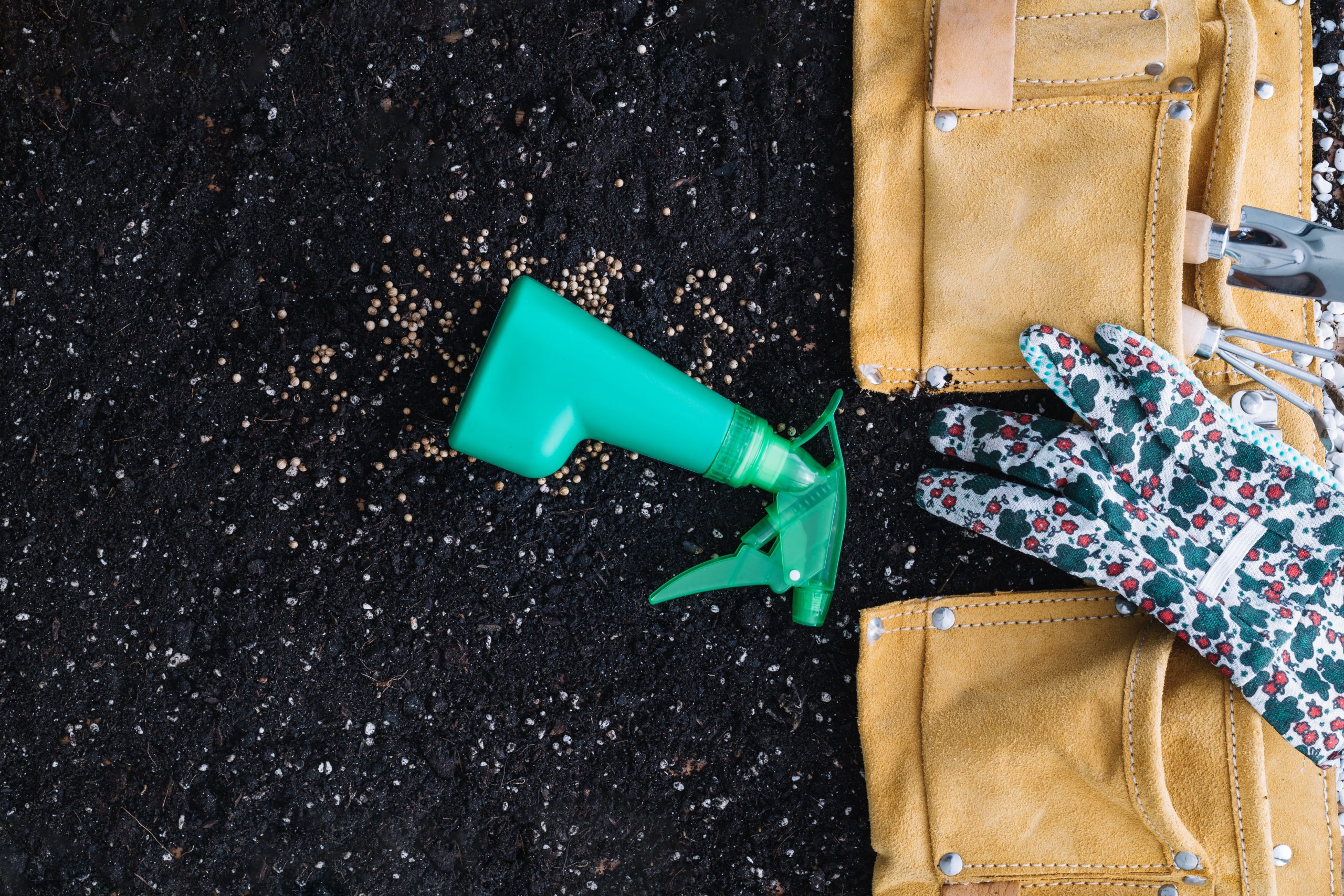 Liquid Fertilizers vs Granular Fertilizers for Vegetable Gardens: Pros, Cons, and Which One to Choose
