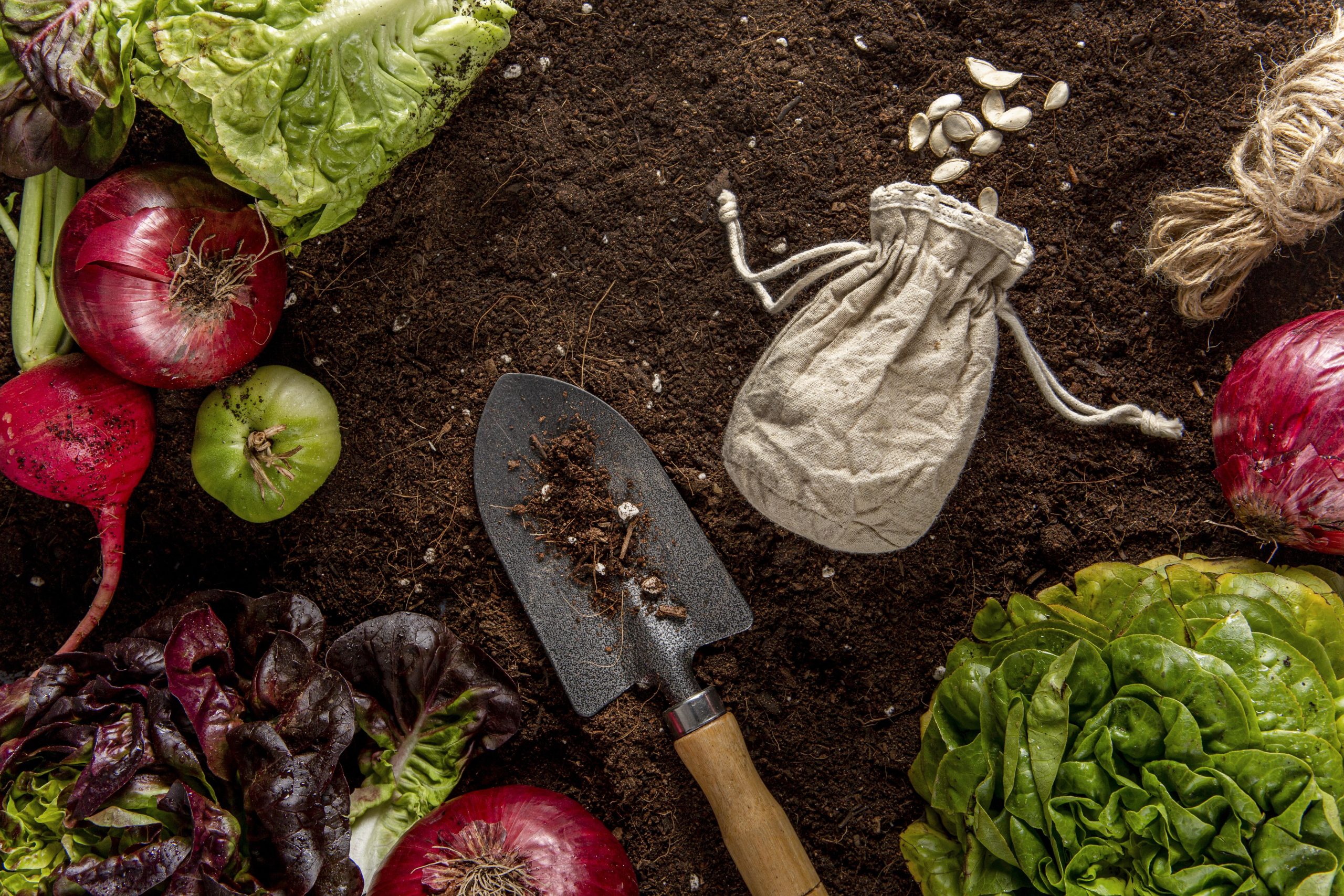 Organic Biofertilizers for Sustainable Farming: Benefits, Types, and Application Methods