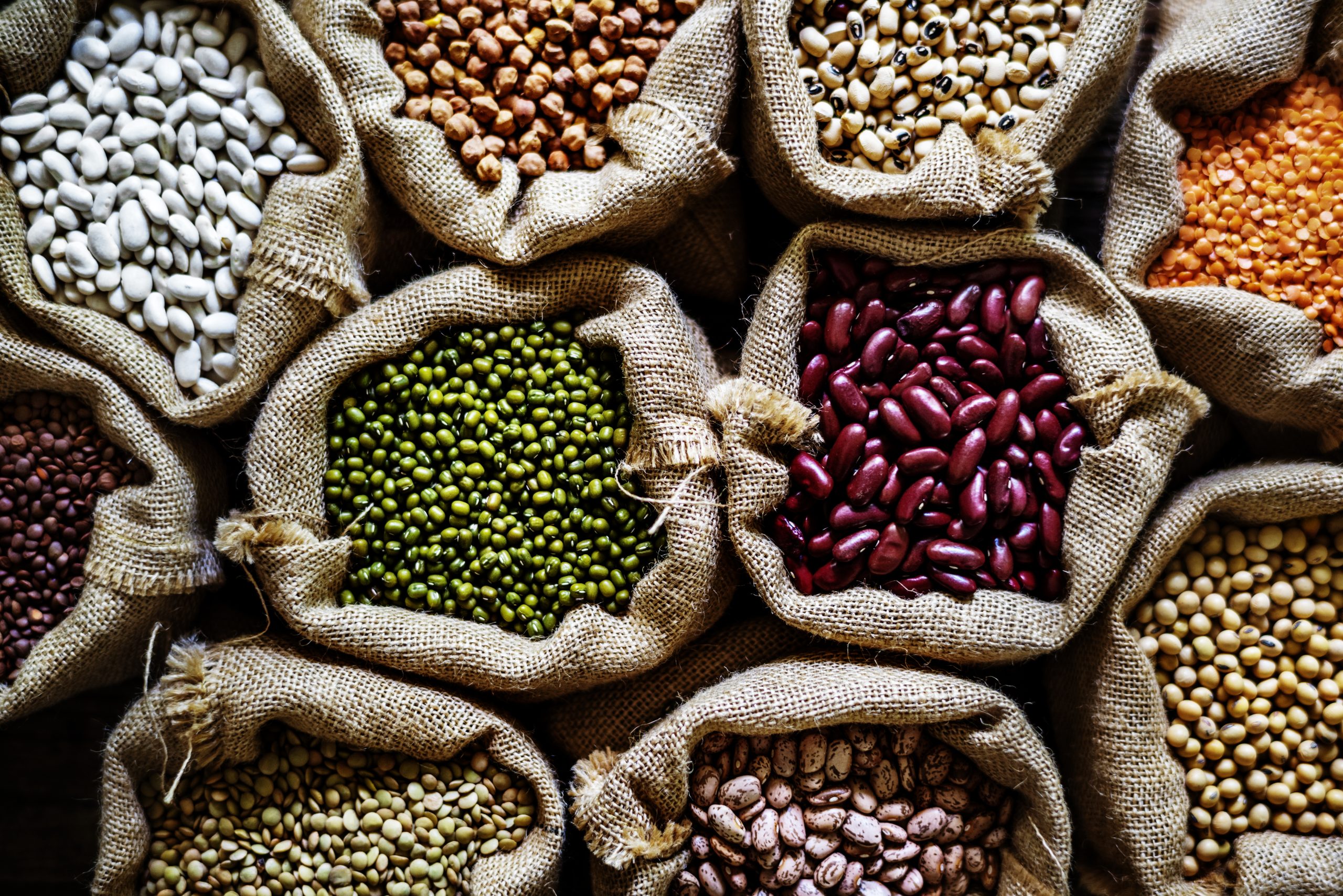 Seeds: The Ultimate Guide to Nature’s Smallest Powerhouses